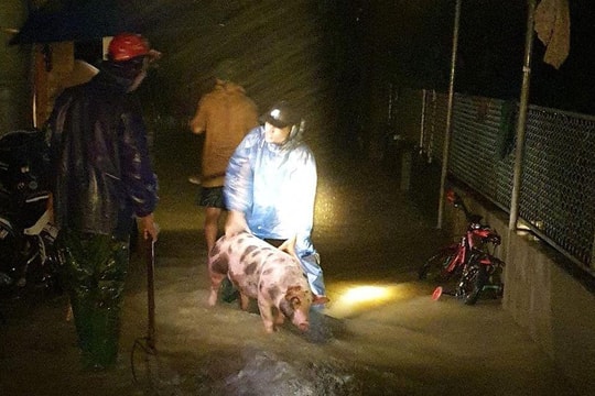 Đêm trắng chạy đua với mưa lũ của người dân Thanh Chương 