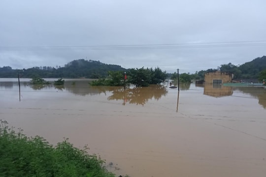 Nước tiếp tục dâng ở vùng thấp, Thanh Chương cấp tập gia cố đê