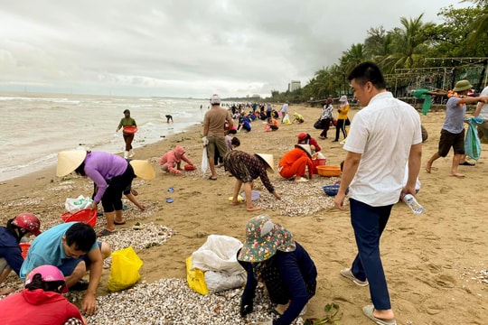 Người dân Cửa Lò đổ xô nhặt ‘lộc biển’ sau mưa lớn