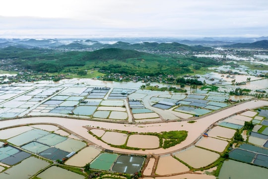 Nghệ An: Hàng nghìn héc-ta ao, hồ nuôi thuỷ sản có nguy cơ bị mất trắng 