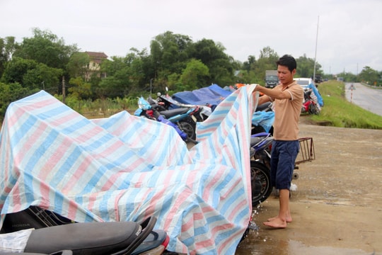 Xe máy, ô tô, trâu, bò... xếp hàng dài trên đê tránh lũ