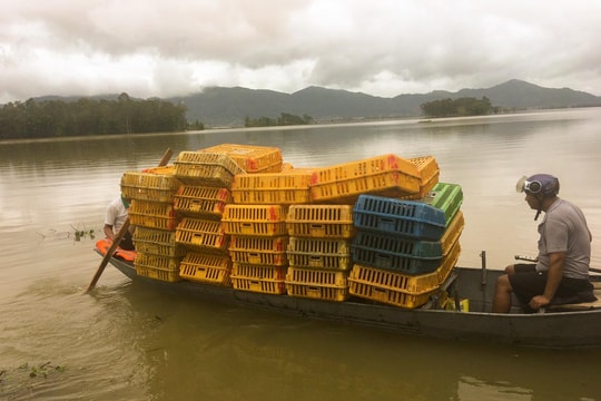 Nghệ An: Nhiều người dân mất hàng trăm triệu đồng do mưa lũ