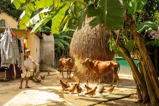 Thơ: Ta về nơi mẹ cha ta