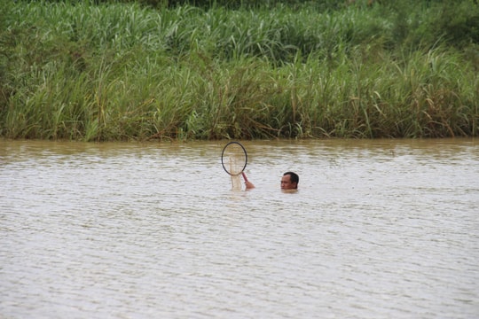 Cảnh báo đuối nước do đánh bắt cá, vớt củi mùa lũ ở Nghệ An 