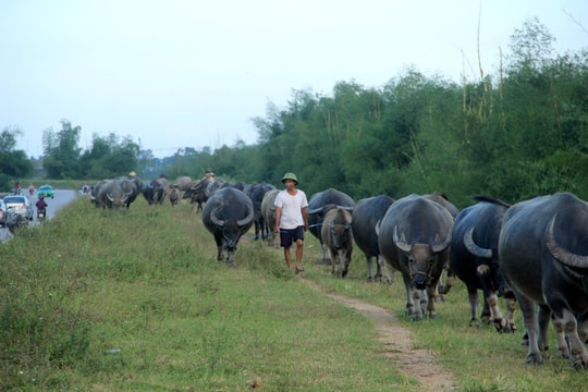 Người dân vùng rốn lũ Hưng Nguyên dọn vệ sinh, đưa tài sản về nhà