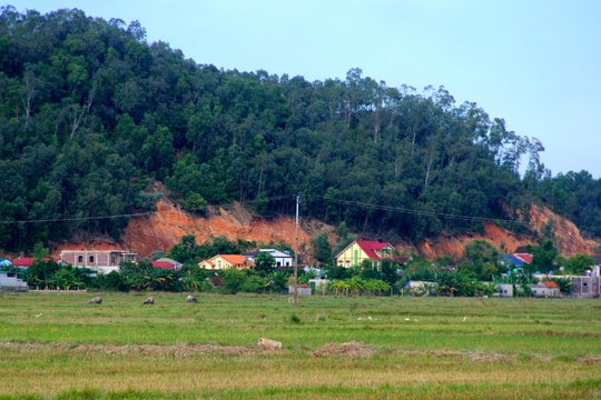Hưng Nguyên xuất hiện nhiều điểm sạt lở, người dân dựng lều tá túc khi có mưa
