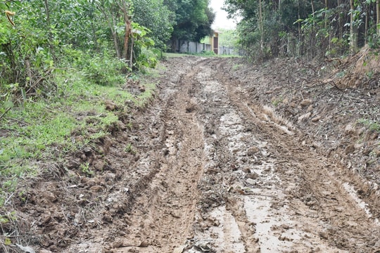 Cử tri huyện Anh Sơn đề xuất bố trí nguồn vốn dự án đường cứu hộ, cứu nạn 10 năm chưa hoàn thành