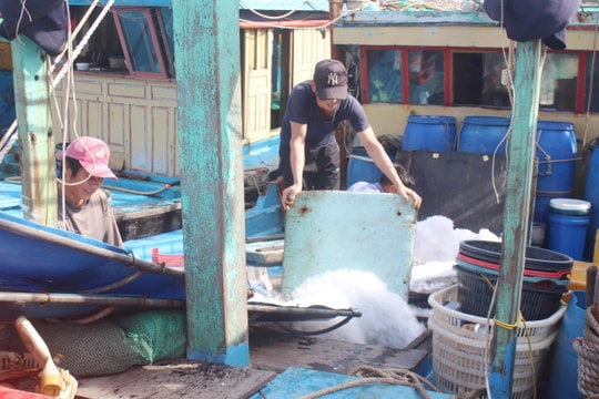 Ngư dân Nghệ An vươn khơi trở lại sau bão số 4