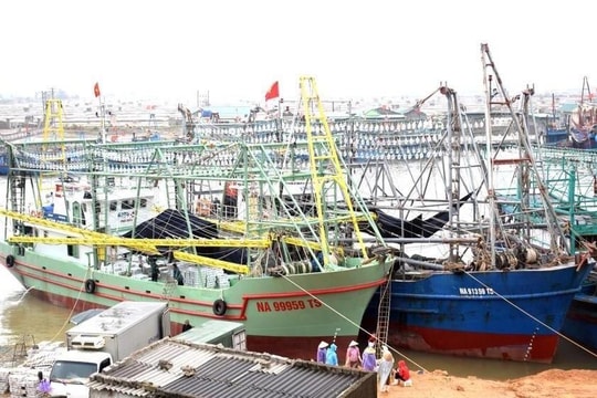 UBND tỉnh trả lời kiến nghị cử tri Quỳnh Lưu về tiến độ nạo vét Cảng Lạch Quèn