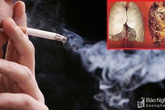 Phòng chống tác hại thuốc lá: