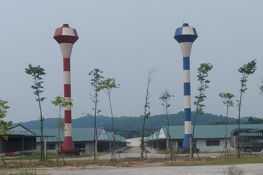 Trại lợn 'khủng' ở Nghệ An bị xử phạt 320 triệu đồng vì không có giấy phép môi trường