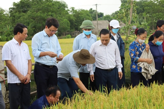 Kỷ niệm 92 năm Ngày thành lập Hội Nông dân Việt Nam (14/10/1930 - 14/10/2022)