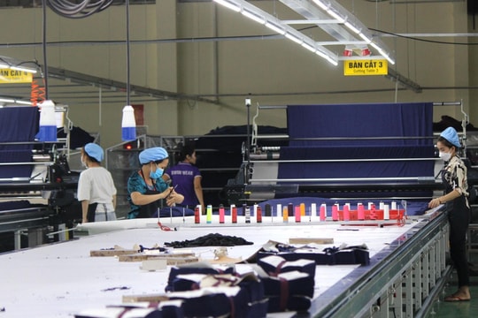 Công ty có được xử lý kỷ luật với những hành vi không được quy định trong nội quy lao động?