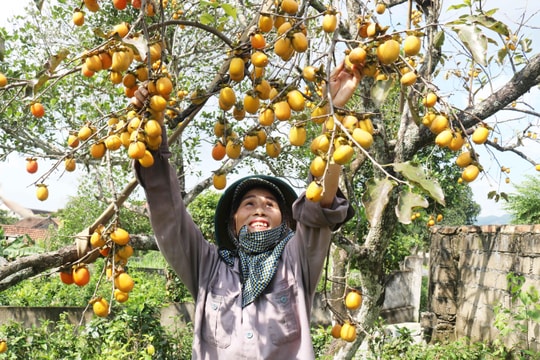 Ngắm những nụ cười tỏa nắng của phụ nữ nông dân Nghệ An