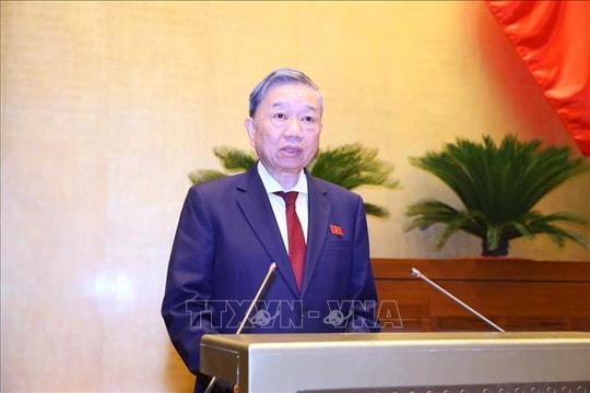 Đấu giá biển ô tô: Không đưa ra khái niệm 'biển số đẹp', 'kho số đặc biệt'