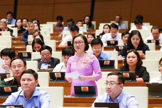 ĐBQH Đoàn Nghệ An: Nên cân nhắc kỹ việc thành lập Ban thanh tra nhân dân tại các tổ chức sử dụng lao động khu vực ngoài Nhà nước