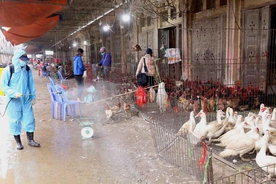 Cúm gia cầm lây sang người, Bộ Nông nghiệp và Phát triển nông thôn ra công điện khẩn