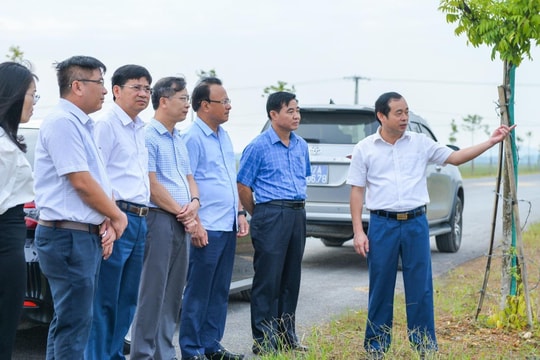 HĐND tỉnh giám sát về thu hồi đất, chuyển đổi mục đích sử dụng đất tại huyện Đô Lương