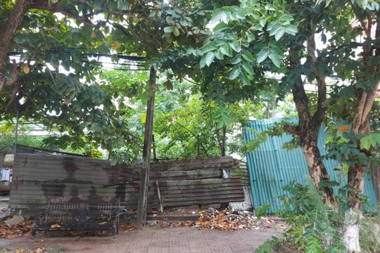 Sở Xây dựng đề nghị UBND tỉnh hủy bỏ các văn bản pháp lý của dự án Nhà nghỉ công nhân Nông trường 3/2