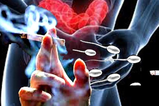 Hút thuốc lá tác động lớn đến sức khoẻ sinh sản cả hai giới