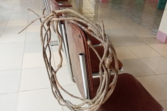 Đã tìm ra nguyên nhân ngộ độc khiến 7 người ở Nghệ An nhập viện cấp cứu