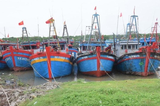 Gió Đông Bắc trên biển giật cấp 8-9, sóng biển dâng cao, Nghệ An chủ động ứng phó