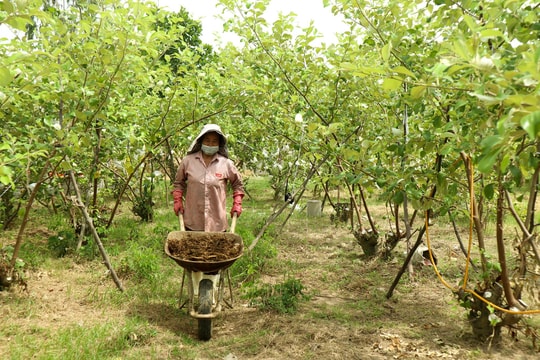 Tiến sĩ Hồ Bá Quỳnh: Một đời trăn trở với nông dân