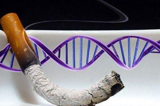 Gien người có thể bị đột biến do hút thuốc lá