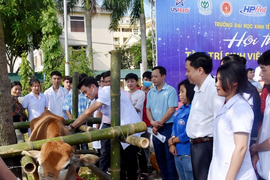 Sôi nổi Hội thi 'Tài và Trí sinh viên Nông Lâm Ngư'