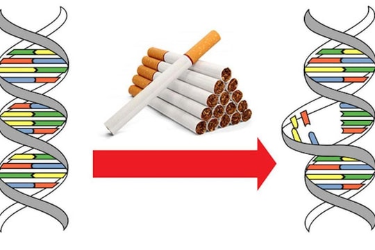 Hút thuốc lá để lại nhiều tổn hại trên bộ gen