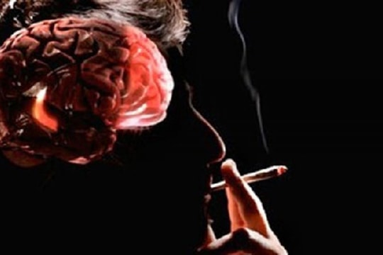 Thuốc lá có chứa hơn 4.000 hóa chất tàn phá não bộ 