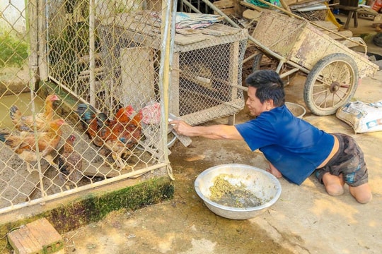 Nghị lực phi thường của người đàn ông di chuyển bằng đôi tay kỳ diệu