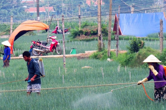 Nghệ An nỗ lực phủ kín hệ thống bể chứa rác thải thuốc bảo vệ thực vật 