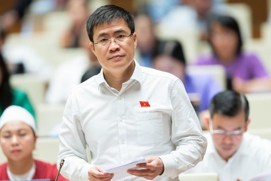 Đại biểu Hoàng Minh Hiếu chỉ ra sự lãng phí khi có nhiều ứng dụng, phần mềm về hành chính, dịch vụ công