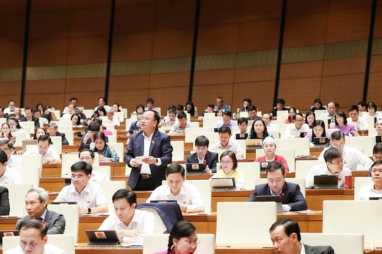 Đại biểu Quốc hội Đoàn Nghệ An: 'Không nên để chậm cải cách tiền lương làm chảy máu chất xám trong lĩnh vực quản lý công'