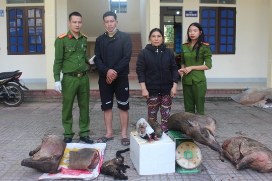 Bắt 2 đối tượng tại Con Cuông, thu giữ nhiều động vật hoang dã