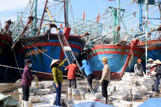 Tàu thuyền về tránh bão Nalgae, hàng trăm tấn hải sản cập cảng cá Nghệ An