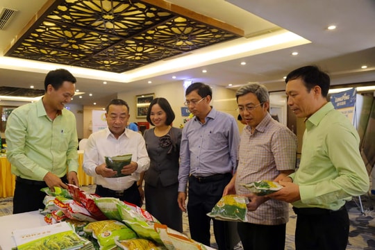 Nghệ An triển khai sản xuất vụ Xuân 2023 