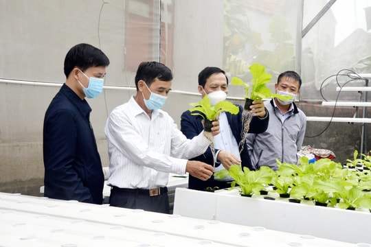 Chú trọng chuyển đổi tư duy sản xuất cho nông dân Nghệ An