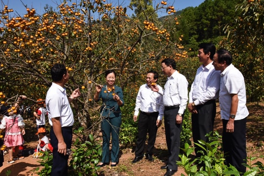 Trung ương Hội Nông dân Việt Nam thăm các mô hình phát triển kinh tế ở Nghệ An