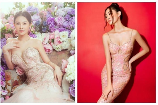 Những hoa hậu Việt làm giảng viên đại học, cao đẳng 