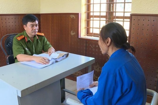 Thuê người làm hàng chục giấy chứng nhận quyền sử dụng đất giả để trục lợi