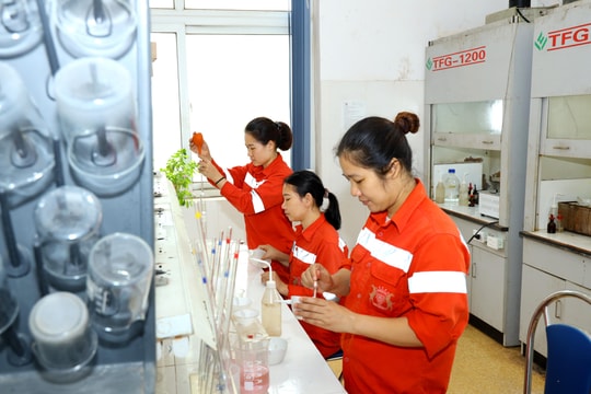 Cần tuyển thêm hàng chục công nhân, nhân viên làm việc tại Công ty Cổ phần Xi măng Sông Lam 