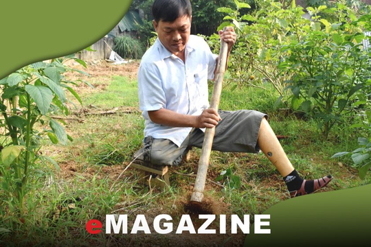 Nghị lực và tấm lòng người thương binh còn 9% sức khỏe