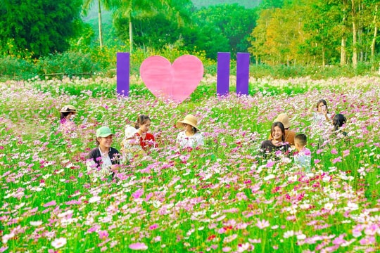 Trải nghiệm vẻ đẹp ‘Đà Lạt thu nhỏ của Nghệ An’