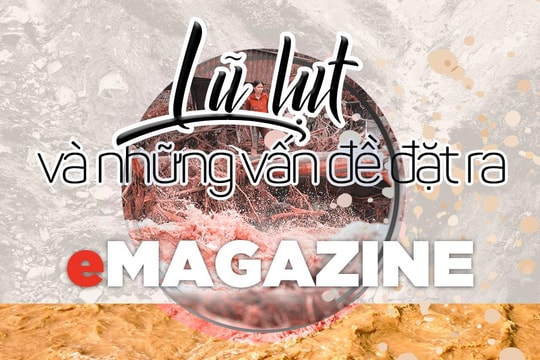 Lũ lụt và những vấn đề đặt ra