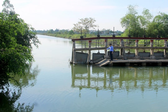 Nghệ An: Cầu ngăn mặn gãy đổ, hàng chục héc ta đất sản xuất bị nhiễm mặn