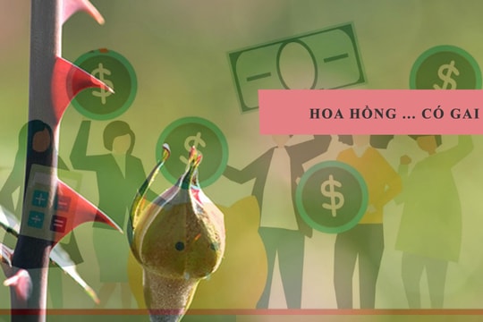 Hoa hồng ... có gai