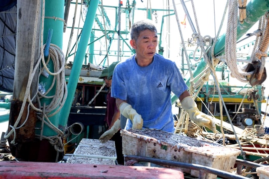 Ngư dân Nghệ An chưa mặn mà với chính sách hỗ trợ tàu cá lắp đặt hệ thống tời thủy lực 