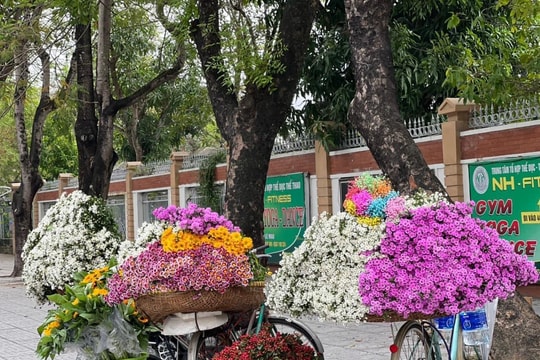 Nhiều ý kiến xung quanh việc xử lý người bán hoa dạo tại TP. Vinh
